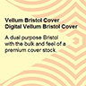 67lb Springhill Vellum Bristol Cover Colors - Sheets
